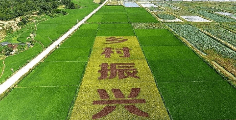 人民日?qǐng)?bào)“鄉(xiāng)村振興計(jì)劃”為何看上他?_直播_行業(yè)_農(nóng)產(chǎn)品